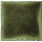 Verde muschio 10×10