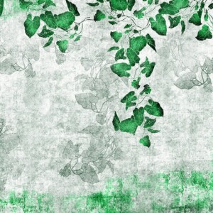 Tapeta Skinwall Groving Ivy Wallpaper 06