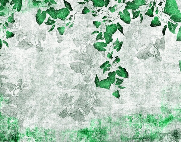 Tapeta Skinwall Groving Ivy Wallpaper 06