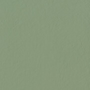 Serenissima Chromagic Green Guru NAT. RTT. 60×60 cm 1075313