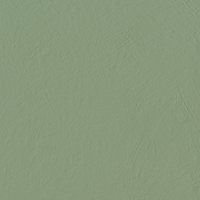 Serenissima Chromagic Green Guru NAT. RTT. 60x60 cm 1075313