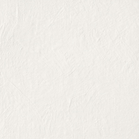 Serenissima Chromagic Tasty Oyster NAT. RTT. 60x60 cm 1075318