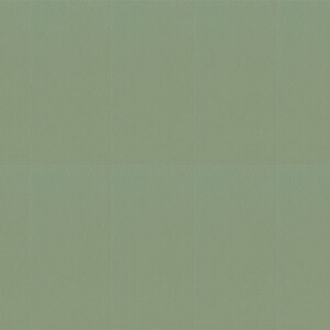 Serenissima Chromagic Green Guru NAT. RTT. 60x120 cm 1074144