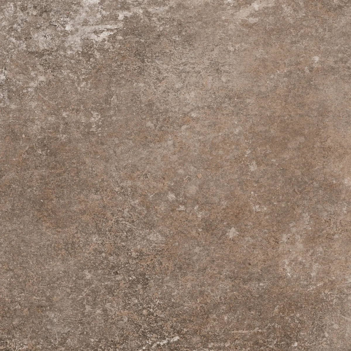172012_settecento_des_alpes_naturale_47,8x47,8