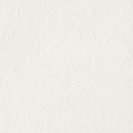 Serenissima Chromagic Tasty Oyster NAT. RTT. 60x60 cm 1075318