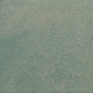 Cir Italica Terra Verde 20x20