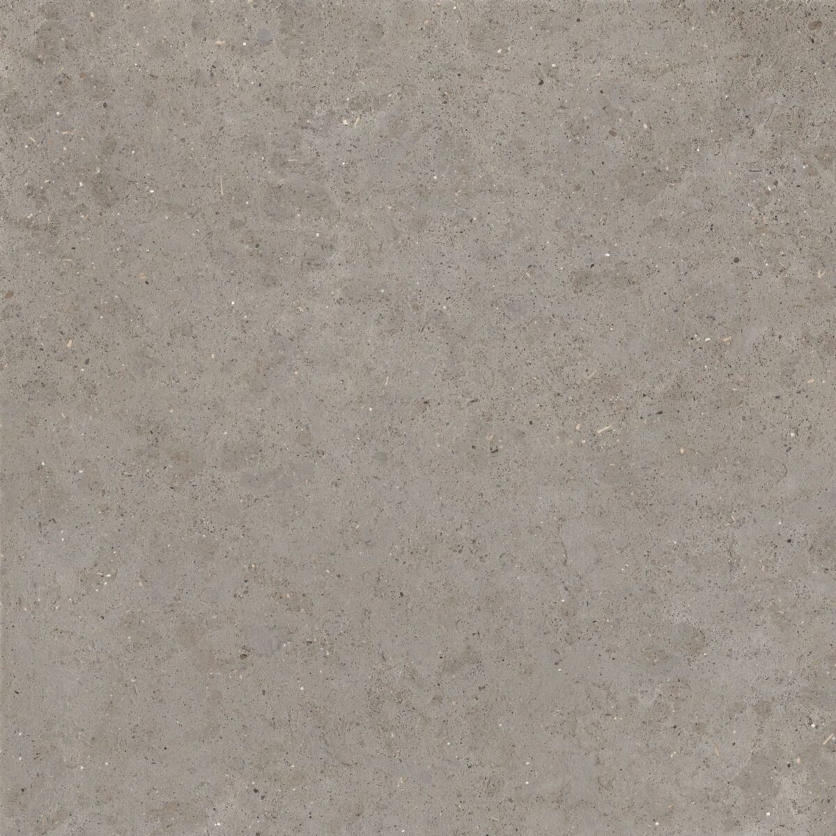 CERAMICHE SUPERGRES MOONLIT MOON_GREIGE 120X120