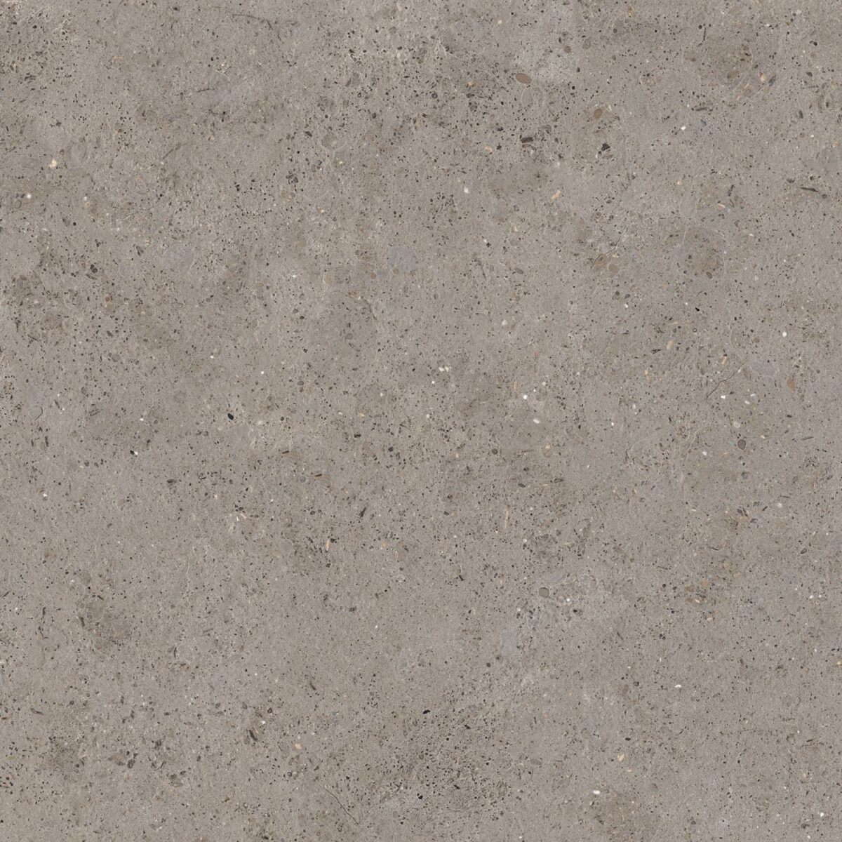 CERAMICHE SUPERGRES MOONLIT MOON_GREIGE 60x60
