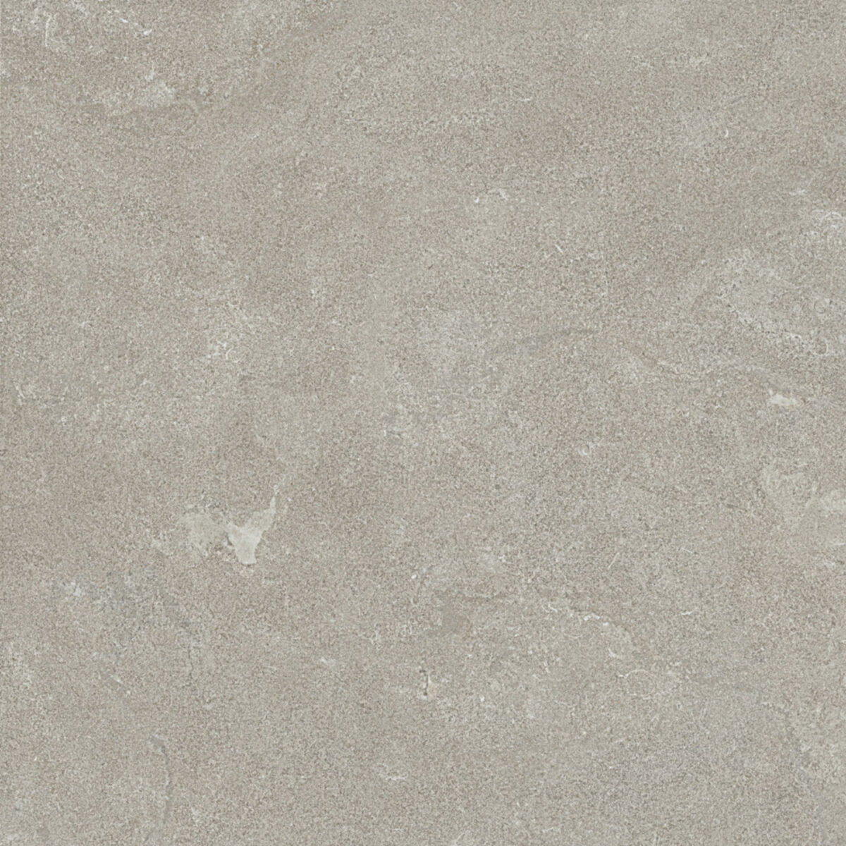 Italgraniti Dorset Cenere Cross Cut 80x80