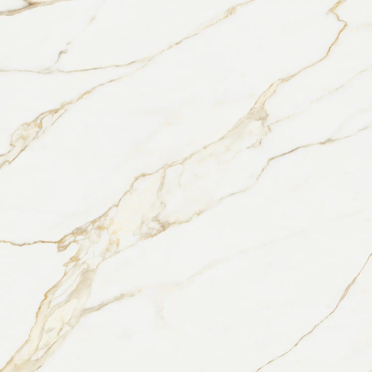 NOVABELL ATELIER CALACATTA GOLD 120X120