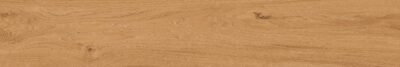 Naxos-Authentic-Wild-Artful-20x120