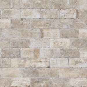 CIR Chicago South Side 10x20 city mix 10x20