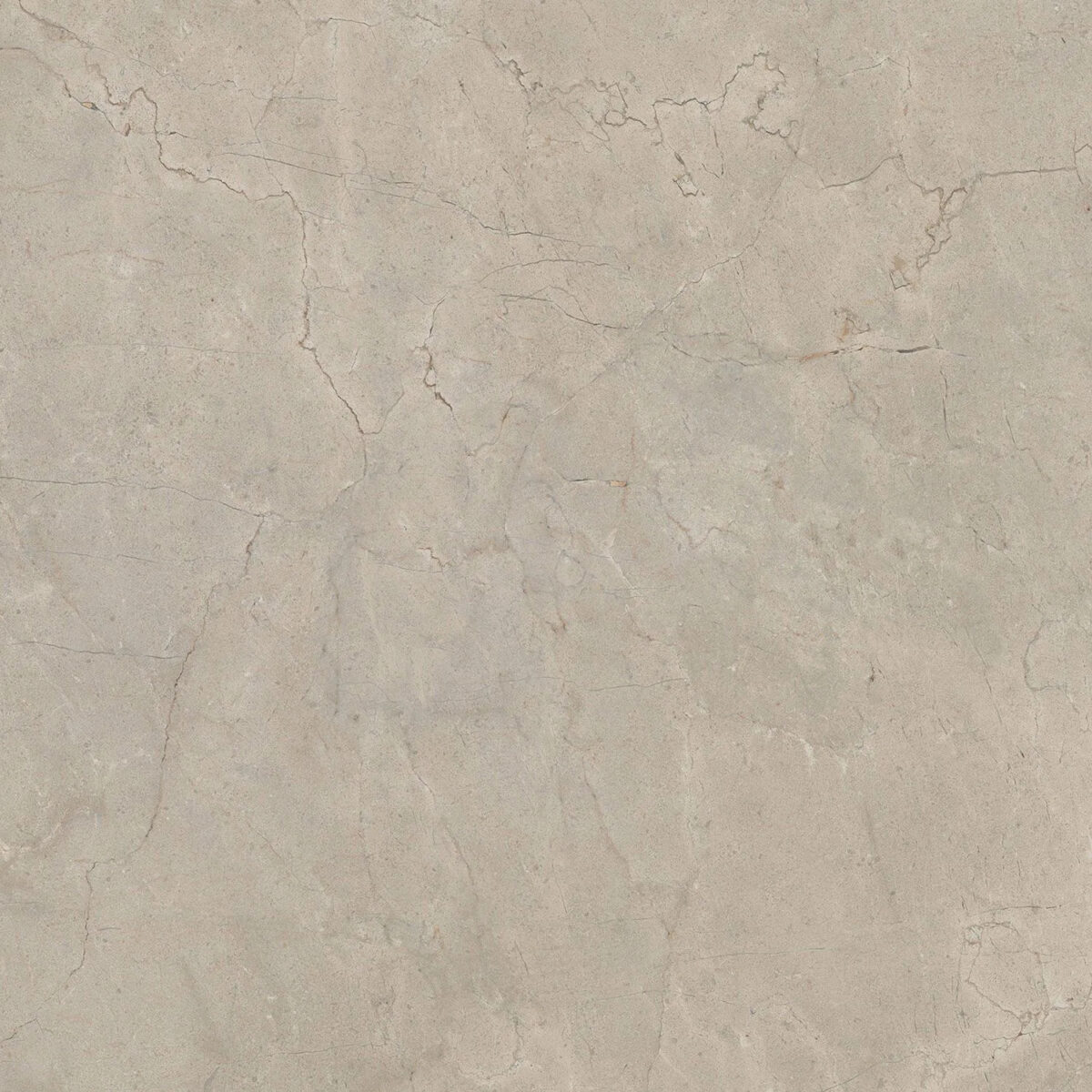 ITALGRANITI_CALCIS-CORDA_NATURALE_RETT_80x80 CL0488