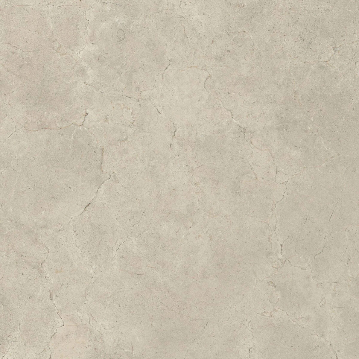 ITALGRANITI_CALCIS-VISIONE_RTT_80x80 CL0388
