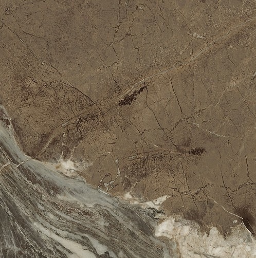 Century_Medley_Majesty_60x60_137264