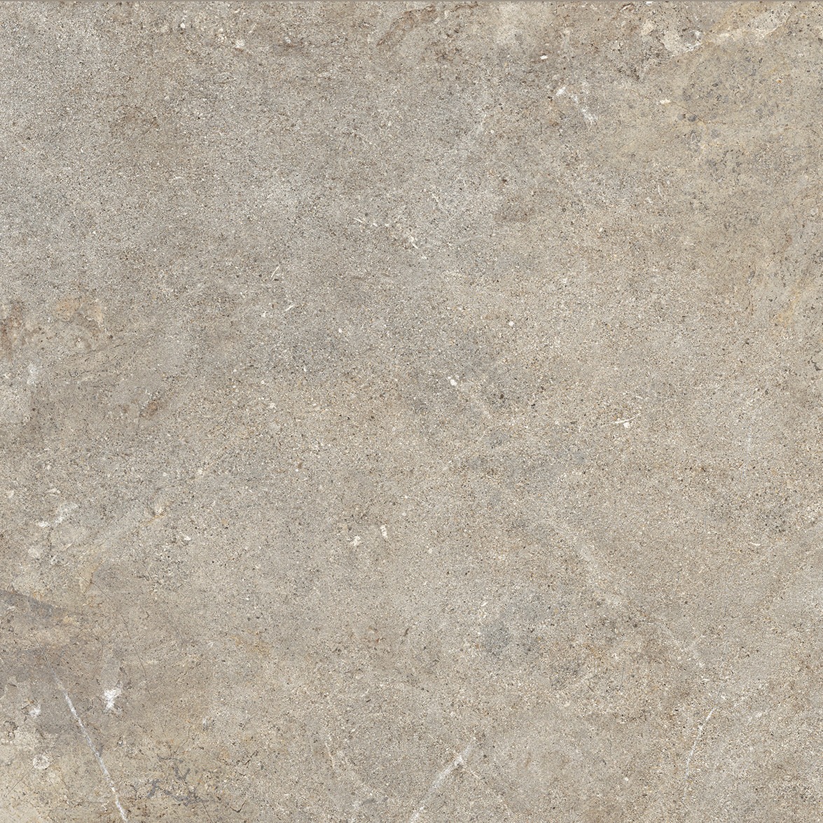 Cercom Everstone Everbrown Nat Rtt 100x100 cm 1089328 - obrazek 3