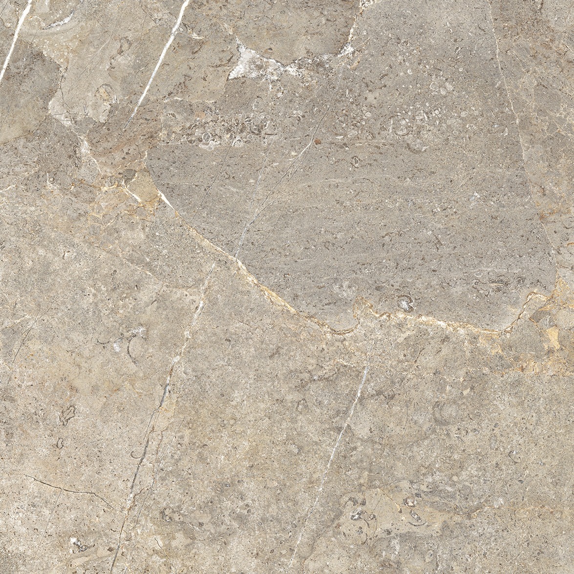 Cercom Everstone Everbrown Nat Rtt 120x120 cm 1089320 - obrazek 3