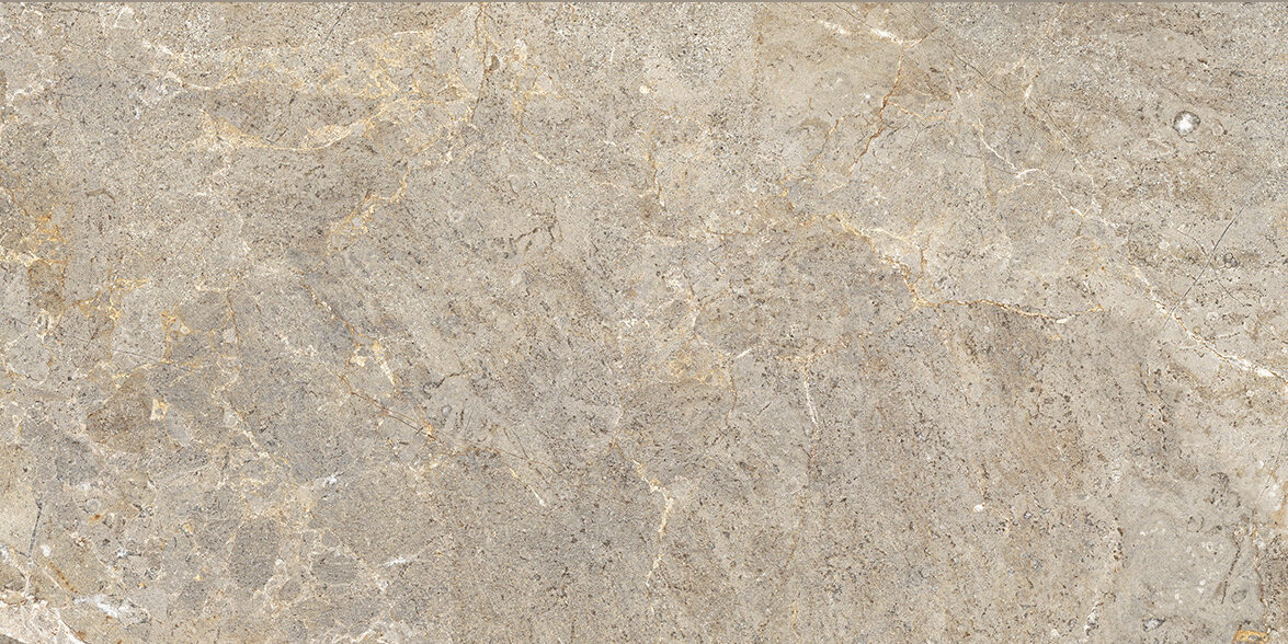 CERCOM EVERSTONE EVERBROWN 60X120-1089324