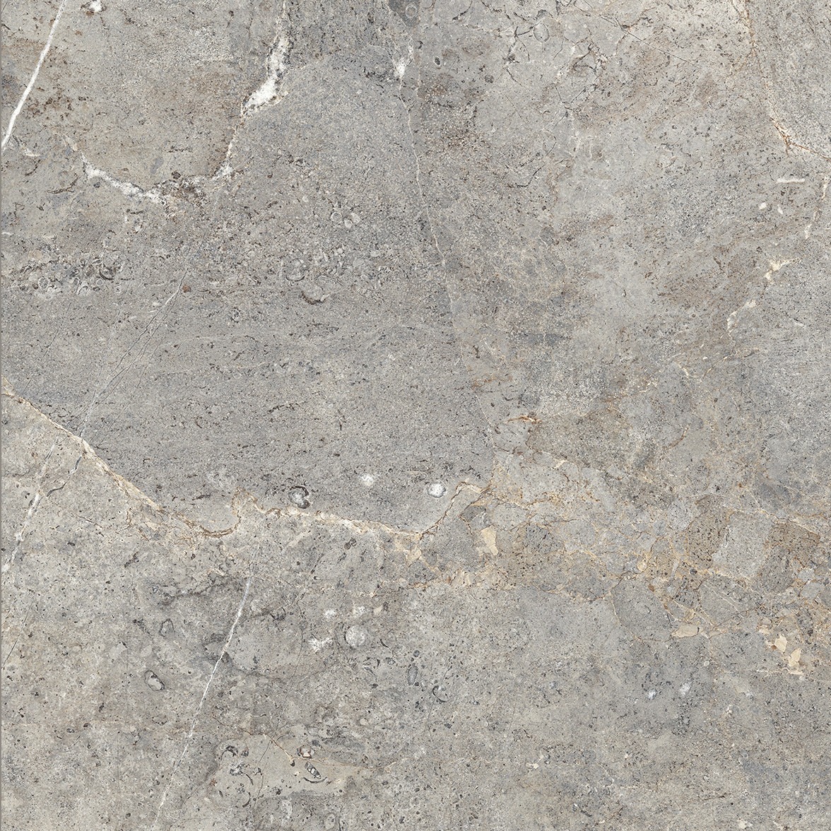 CERCOM EVERSTONE EVERGREIGE 100x100-1089330