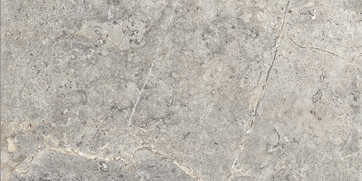 CERCOM EVERSTONE EVERGREIGE 60X120-1089326