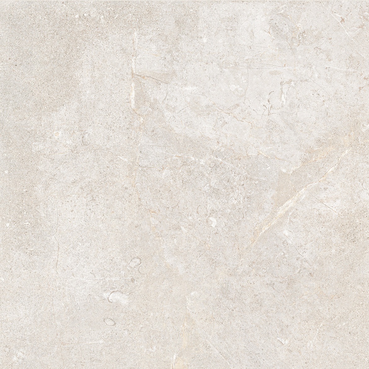 Cercom Everstone Everwhite Nat Rtt 100x100 cm 1089331 - obrazek 3