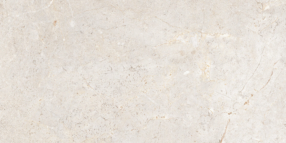CERCOM EVERSTONE EVERWHITE 60x120-1089327